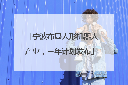 宁波布局人形机器人产业，三年计划发布