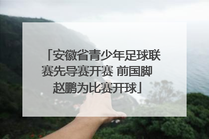 安徽省青少年足球联赛先导赛开赛 前国脚赵鹏为比赛开球
