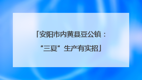 安阳市内黄县豆公镇:“三夏”生产有实招