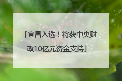 宜昌入选！将获中央财政10亿元资金支持