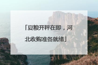 夏粮开秤在即，河北收购准备就绪
