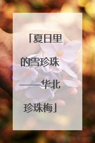 夏日里的雪珍珠——华北珍珠梅