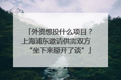 外资想投什么项目？上海浦东邀请供需双方“坐下来掰开了谈”