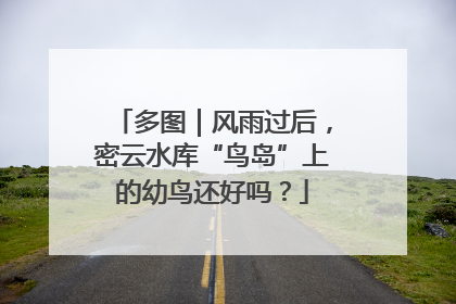 多图｜风雨过后，密云水库“鸟岛”上的幼鸟还好吗？