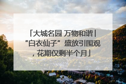 大城名园 万物和谐│“白衣仙子”盛放引围观，花期仅剩半个月
