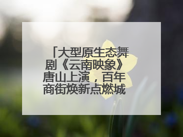 大型原生态舞剧《云南映象》唐山上演，百年商街焕新点燃城市艺术激情