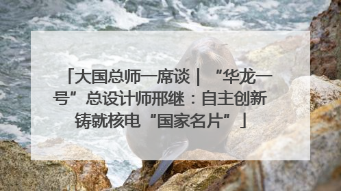 大国总师一席谈｜“华龙一号”总设计师邢继：自主创新铸就核电“国家名片”