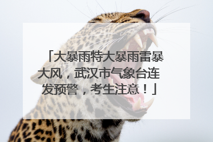 大暴雨特大暴雨雷暴大风，武汉市气象台连发预警，考生注意！