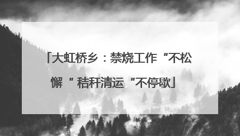 大虹桥乡：禁烧工作“不松懈“ 秸秆清运“不停歇