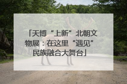 天博“上新”北朝文物展：在这里“遇见”民族融合大舞台
