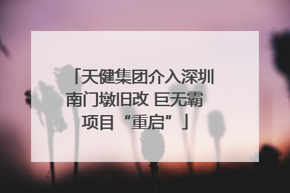 天健集团介入深圳南门墩旧改 巨无霸项目“重启”
