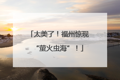 太美了！福州惊现“萤火虫海”！