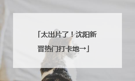 太出片了！沈阳新晋热门打卡地→