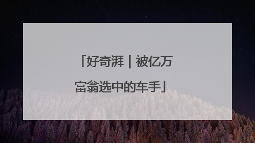 好奇湃｜被亿万富翁选中的车手