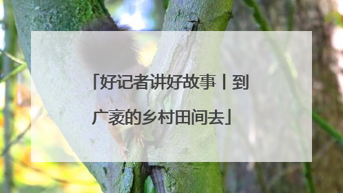 好记者讲好故事丨到广袤的乡村田间去