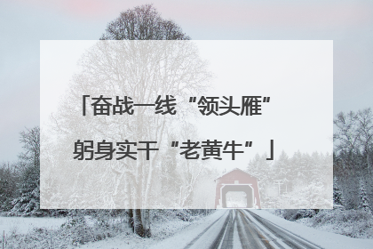 奋战一线“领头雁” 躬身实干“老黄牛”