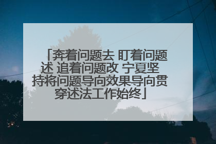 奔着问题去 盯着问题述 追着问题改 宁夏坚持将问题导向效果导向贯穿述法工作始终