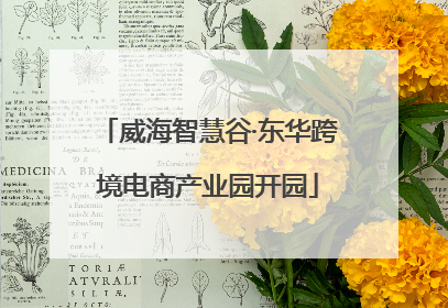 威海智慧谷·东华跨境电商产业园开园