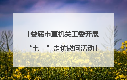 娄底市直机关工委开展“七一”走访慰问活动