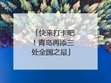 快来打卡吧！青岛再添三处全国之最