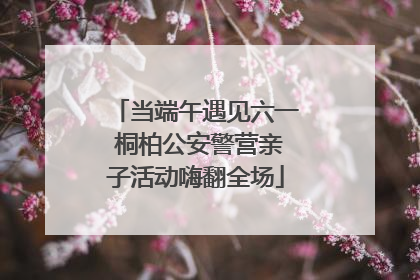 当端午遇见六一 桐柏公安警营亲子活动嗨翻全场