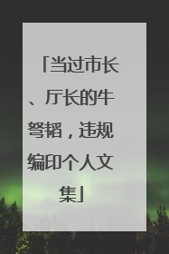 当过市长、厅长的牛弩韬，违规编印个人文集