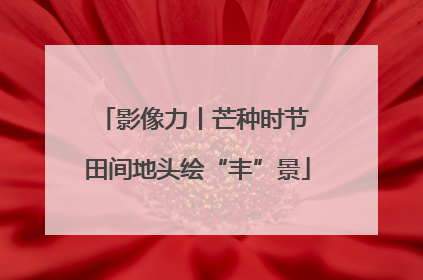 影像力丨芒种时节 田间地头绘“丰”景