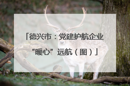 德兴市：党建护航企业“暖心”远航（图）