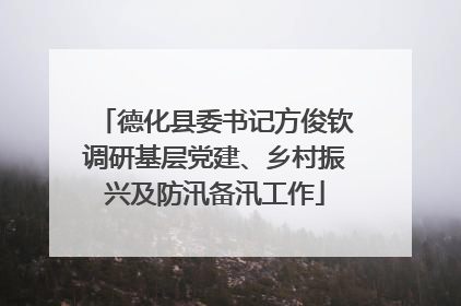 德化县委书记方俊钦调研基层党建、乡村振兴及防汛备汛工作