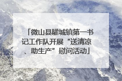 微山县驩城镇第一书记工作队开展“送清凉、助生产”慰问活动