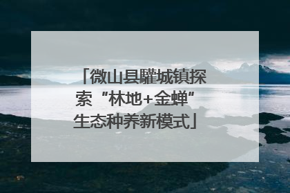 微山县驩城镇探索“林地+金蝉”生态种养新模式