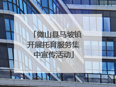 微山县马坡镇开展托育服务集中宣传活动