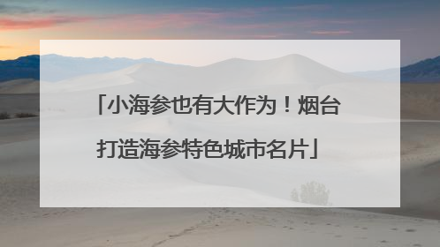 小海参也有大作为！烟台打造海参特色城市名片