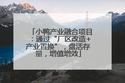小鸭产业融合项目：通过“厂区改造+产业置换”，盘活存量，增值增效