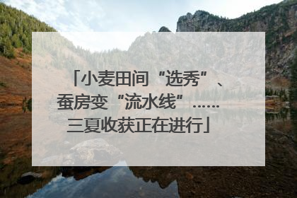 小麦田间“选秀”、蚕房变“流水线”……三夏收获正在进行