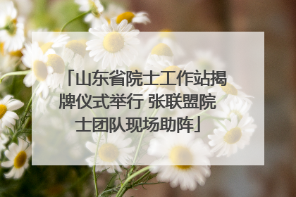 山东省院士工作站揭牌仪式举行 张联盟院士团队现场助阵