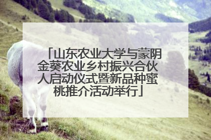 山东农业大学与蒙阴金葵农业乡村振兴合伙人启动仪式暨新品种蜜桃推介活动举行