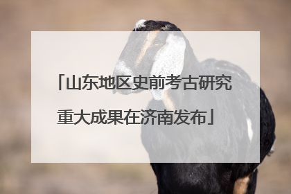 山东地区史前考古研究重大成果在济南发布