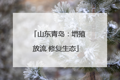 山东青岛：增殖放流 修复生态