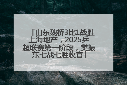 山东魏桥3比1战胜上海地产，2025乒超联赛第一阶段，樊振东七战七胜收官
