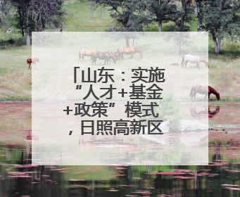 山东：实施“人才+基金+政策”模式，日照高新区——打造人才“强磁场”