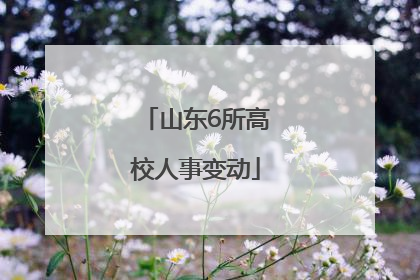 山东6所高校人事变动