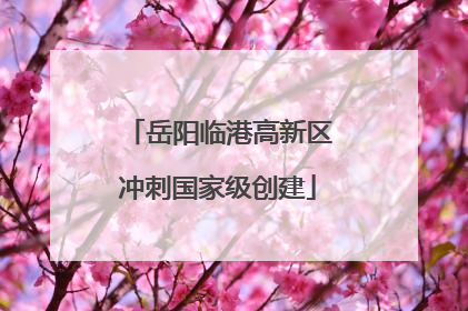 岳阳临港高新区冲刺国家级创建
