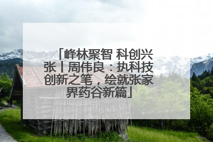 峰林聚智 科创兴张丨周伟良：执科技创新之笔，绘就张家界药谷新篇