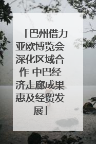 巴州借力亚欧博览会深化区域合作 中巴经济走廊成果惠及经贸发展