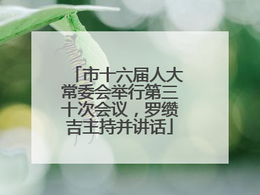 市十六届人大常委会举行第三十次会议，罗缵吉主持并讲话