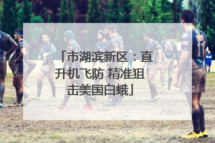 市湖滨新区：直升机飞防 精准狙击美国白蛾