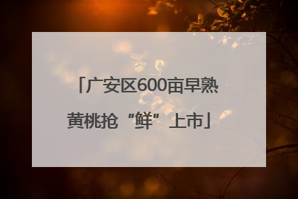 广安区600亩早熟黄桃抢“鲜”上市