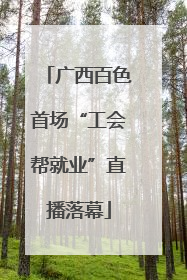 广西百色首场“工会帮就业”直播落幕