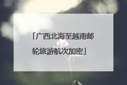 广西北海至越南邮轮旅游航次加密